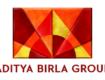 Aditya Birla leads race to acquire TCNS stake